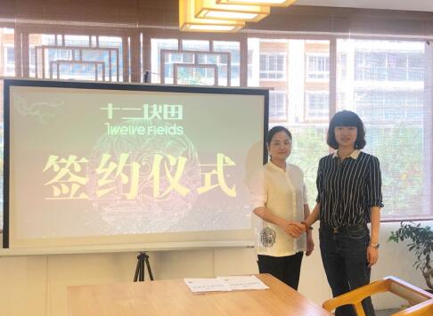 十二块田:落子皖江大地 力推